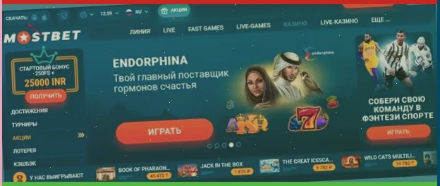 Bookmaker ставки на спорт